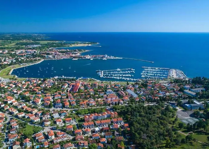 Vedrana 3 Taverna By Interhome Lejlighed Umag