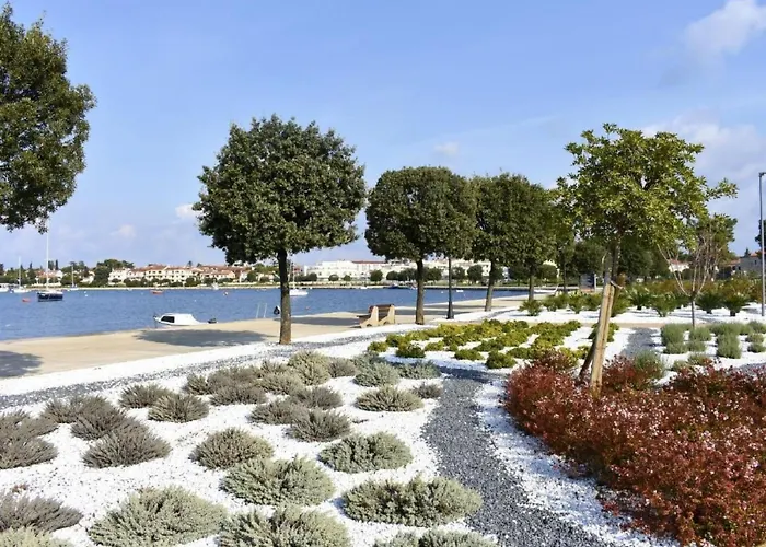 Vedrana 3 Taverna By Interhome Lejlighed Umag